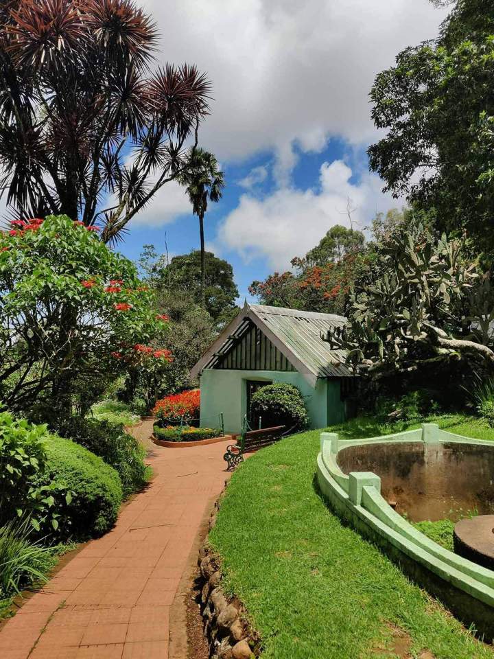 Aménagement de jardin sur mesure Guadeloupe